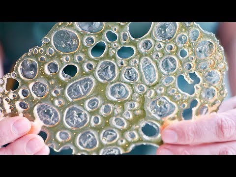 download lagu mp3 mp4 Bubble Sugar Recipe, download lagu Bubble Sugar Recipe gratis, unduh video klip Bubble Sugar Recipe