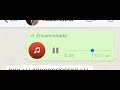 Seu Armando Belford Roxo áudio Whatsapp Engraçado