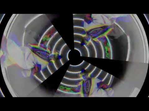 Diggedy - MindBendingChemicals