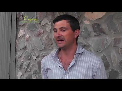 INVERNADA PASTORIL - IGNACIO DAMBORIARENA, EST. "LA ESCOBILLA"