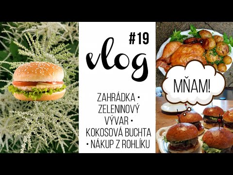 VLOG #19 | zahrada, zeleninový vývar, víkend 🦢
