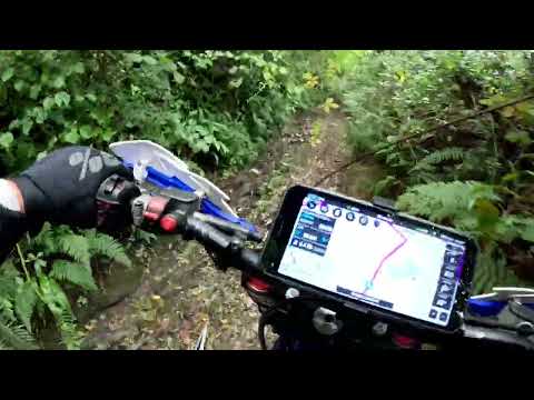 Devon the notorious Snapper lane 