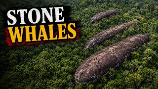 Download lagu Hin Sam Wan: The Stone Whales Hidden in Thailand's Forest mp3 Download lagu Hin Sam Wan: The Stone Whales Hidden in Thailand's Forest mp3