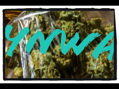 (ROSAPARKS}prod.YNWABillie Hennessey ft. YNWADRACO