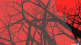 the pAper chAse: &quot;I&#39;m Your Doctor Now&quot;