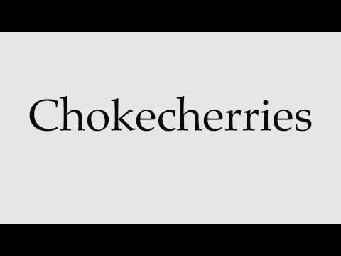 How to Pronounce Chokecherries