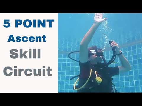 5 Point Ascent 🔥 Divemaster & Instructor PADI IDC Skills Circuit