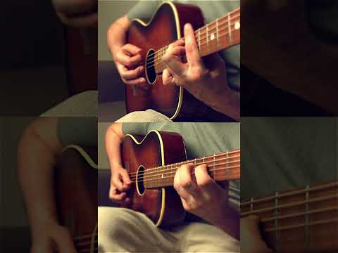 Vaya Con Dios-Nah Neh Nah (Acoustic Cover) #2025 #guitar #coversong #guitarist