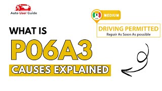 OBD Code p06a3 Guide to Repair