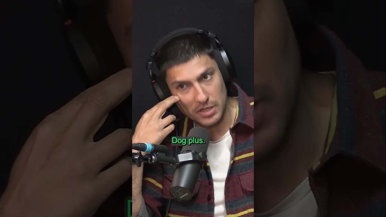 Video WCkK1k1paMQ