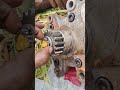 45cc HST Harvestingmachine Hst Viralvideo