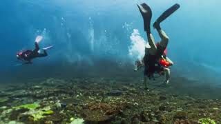 仮置き_Komodo_Island hopping & 3/9Dives