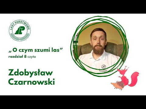 "O czym szumi las" - Rozdział VIII - Baba-Jaga [czyta Zdobysław z kanału ECHA LEŚNE]