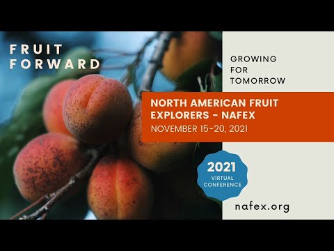 Exploring Peaches Grown by Southwestern Native Americans - NAFEX 2021 Conference