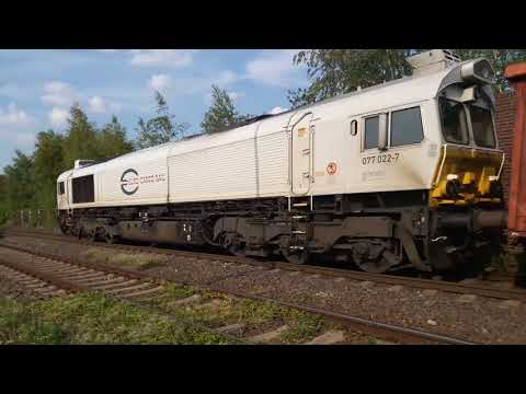 EMD CLASS 77 "077 022-7" ECR - Euro Cargo Rail / DB Cargo / Güterzug / freight train