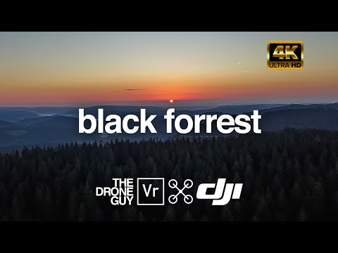 Schwarzwald 4K Drohne | Feldberg | Lotharpfad | Zauberwald