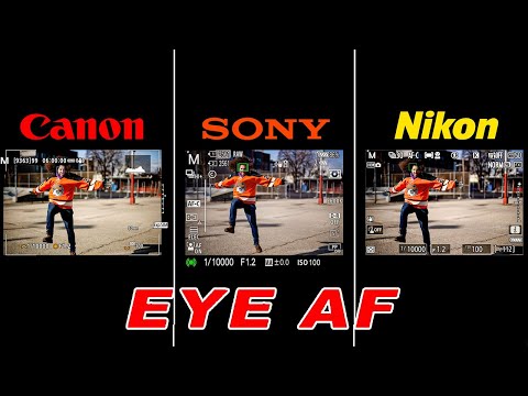 Nikon Z9 vs SONY a1 vs Canon EOS R3 EYE AF REVIEW