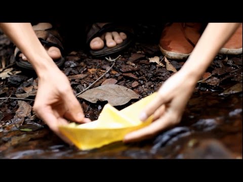 Boas-Vindas video