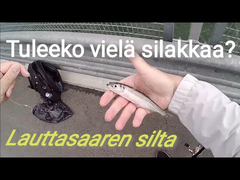 Myöhäistä silakanlitkausta - Lauttasaaren silta