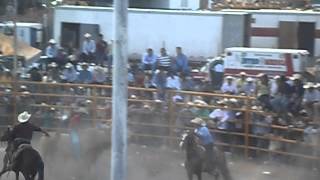 preview picture of video 'JARIPEO MATORRAL 2013'