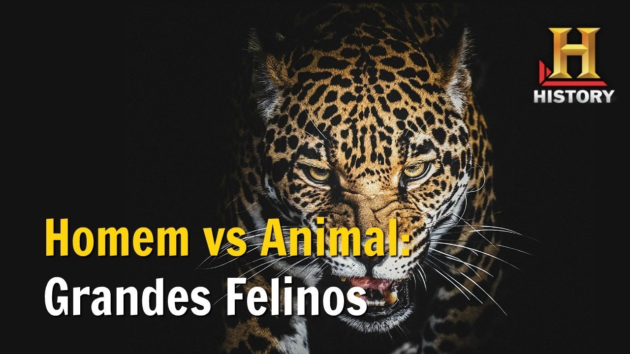 Grandes Felinos - Homens vs Animal - Documentário History Channel Brasil