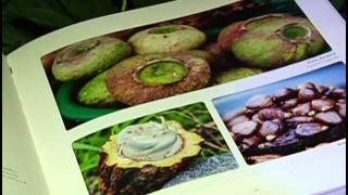 La magnificencia de la región pacífica quedó consignada en 'Savia Pacífico'[Noticias]-TeleMedellin