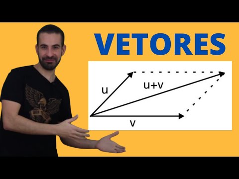 ADIÇÃO DE VETORES - Teoria e Exercícios