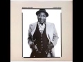 Muddy Waters   Little Girl
