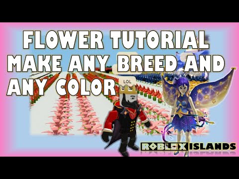 Flower Breeding Tutorial Roblox Islands MrsRabbit's Island