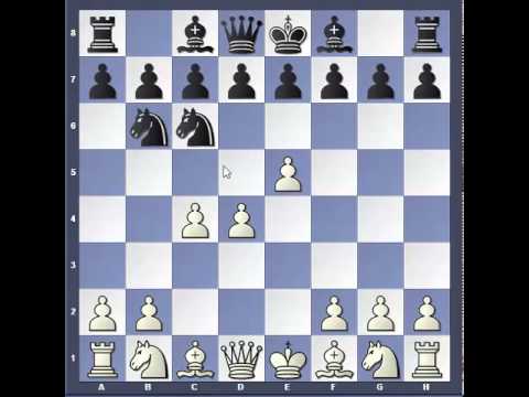 Trappole in Apertura 6 - La Difesa Alechin 1