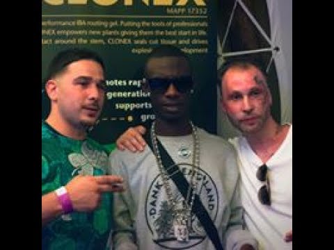 Auto Pot Festival 2016 - Stoner420, KKoke - Terry Dunnage Foundation