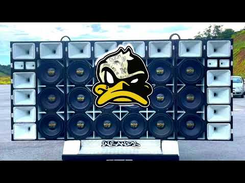 Sanclér Cds 2.0 and Sanclér CDs