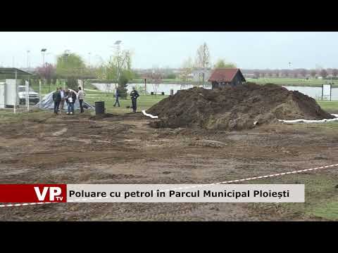 Poluare cu petrol în Parcul Municipal Ploiești