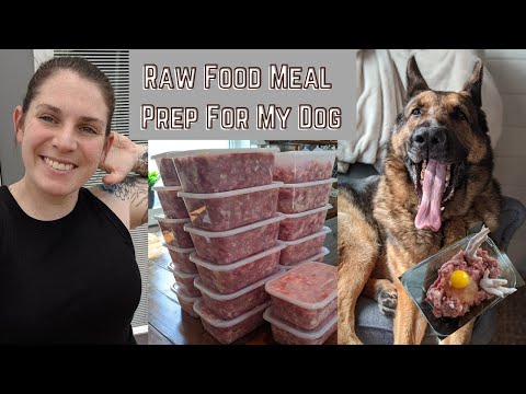 YouTube video about: How much does it cost to feed dog raw diet?