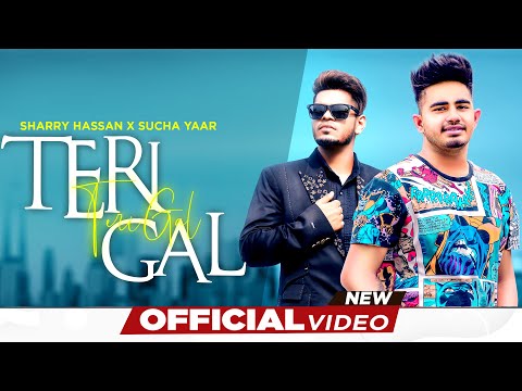 Teri Gal