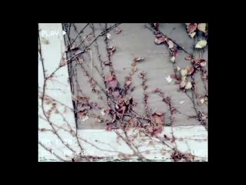 [FREE] Lil Lotus, Nothing Nowhere type beat "Brain" - Prod. Jolst X Slatervstheworld