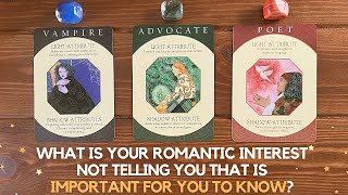 What Is Your Romantic Interest Not Telling You That Is Important For You to Know? ✨🤫✨| Pick A Card