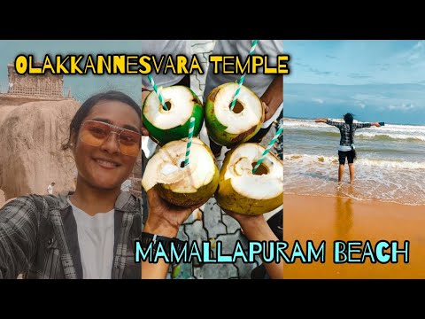 Visiting the Olakkannesvara Temple and Mamallapuram Beach | Part 2 | Shreyashi Biswas