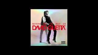 I Just Wanna F. - David Guetta ft. Timbaland, Dev (Nothing but the Beat 2.0)