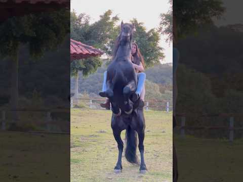 Empinando em 2 ✌🏻 #shortsyoutube #shortvideo #agro #agrogirl #comedia #shortshorts #cavalos