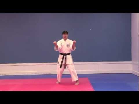 Sanseiru - International Hayashi-Ha Shito-Ryu