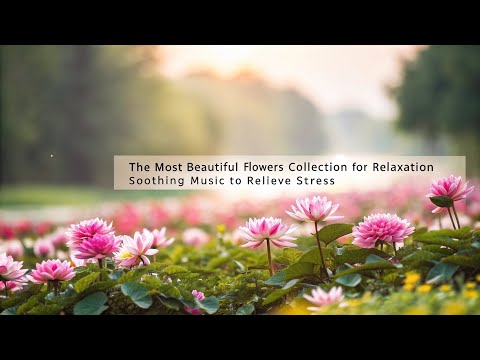 The Most Beautiful Flowers Collection for Relaxation - Soothing Music to Relieve Stress