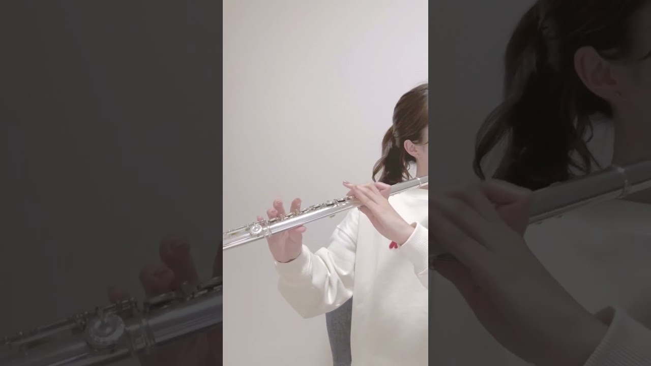 【演奏してみた】Tetoris / Kasane Teto #フルート #テトリス #演奏してみた
