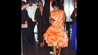 Solange Knowles: Fans Shocked To See Violent Jay-Z Attack