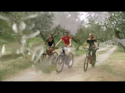 Picnic amongst the olive groves - discover the Parenzana trail!