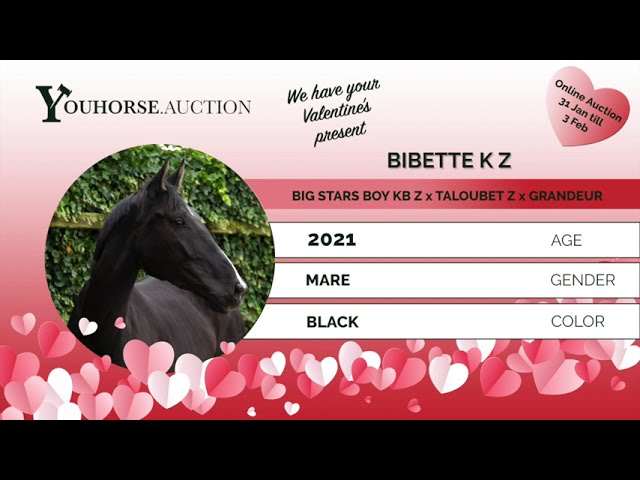 Bibette K Z under saddle