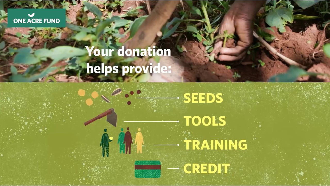 Give a Little, Grow a Lot: Together we can create lasting change