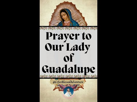 🙏 A Prayer to Our Lady of Guadalupe | December 12 Feast Day || Prayer of the Day 🙏 #prayers #fyp