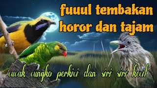 Download lagu Fuuul tembakan horor 🔥🔥 cungko perkici dan siri siri kecil mp3 Download lagu Fuuul tembakan horor 🔥🔥 cungko perkici dan siri siri kecil mp3