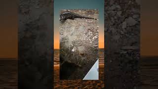 Download lagu Jamsker🥶 #shorts #meme #memeviral mp3 Download lagu Jamsker🥶 #shorts #meme #memeviral mp3